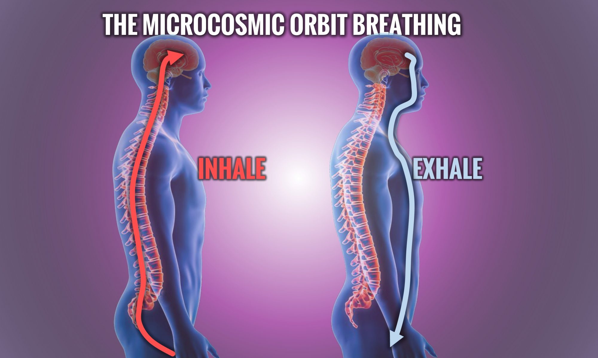The Microcosmic Orbit Breathing